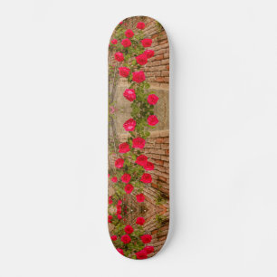 eine Rose klettert auf einem Skateboard auf eine Z