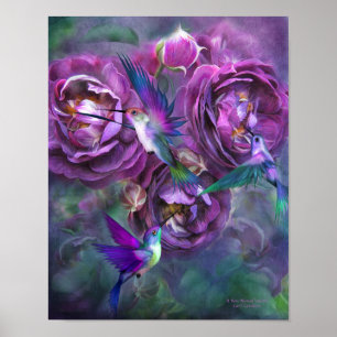 Eine Rose mit dem Namen Violette Fine Art Poster/P Poster