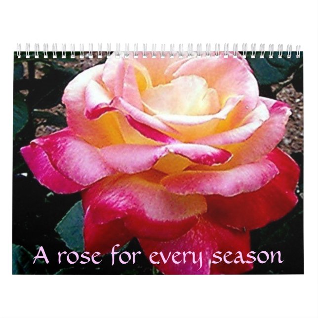 Eine Rose zu jeder Jahreszeit Kalender (Titelbild)