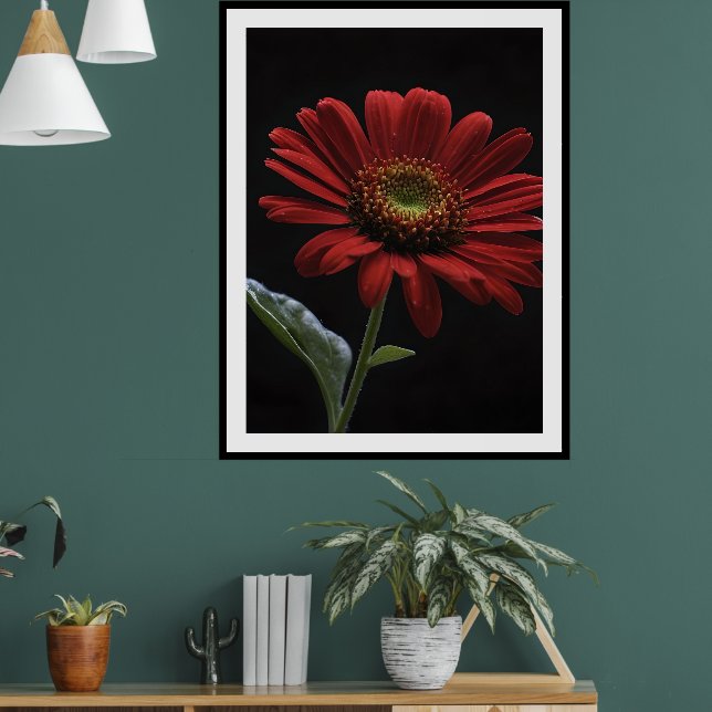 eine rote Daisy Links Seite auf schwarz, Poster (Wohnzimmer 1)