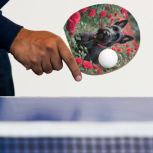 "Eine Rote Rose für den Schwarzen Schottischen Rei Tischtennis Schläger