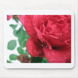 Eine Rote Rose Mousepad