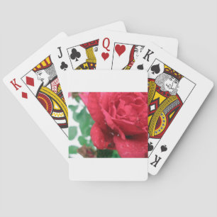 Eine Rote Rose Spielkarten