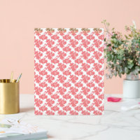 eine rote und weiße Blume auf weißem Hintergrund