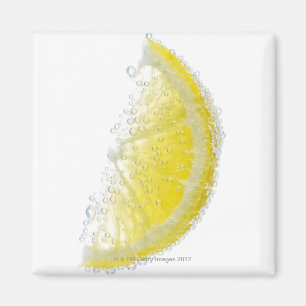 Eine saftige reife Bio Zitronenkeilfrucht versenkt Magnet