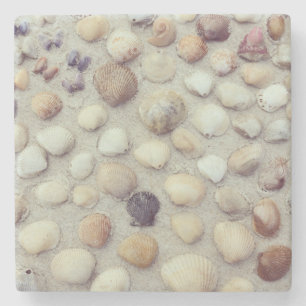 Eine Sammlung Seashells Steinuntersetzer