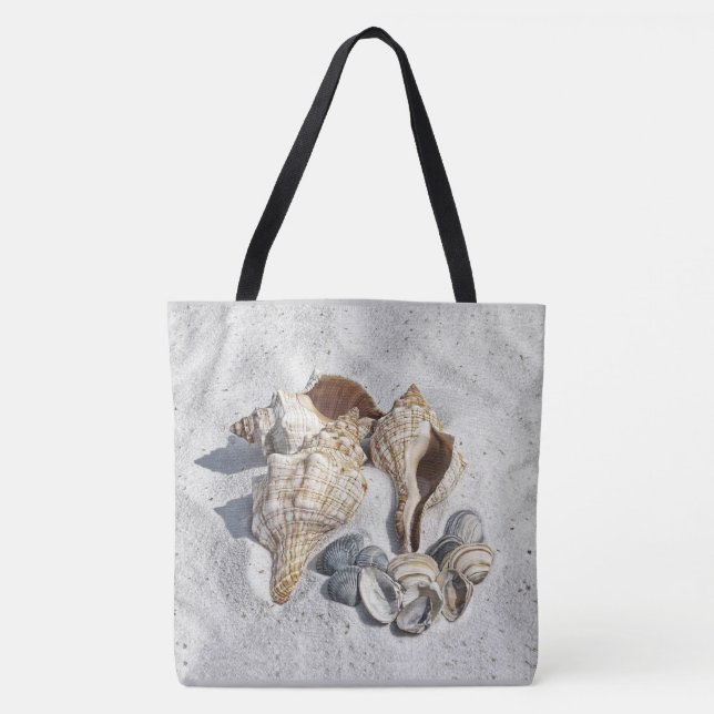 Eine Sammlung von Muscheln auf Sand (Vorderseite)