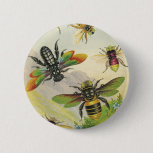Eine Schar des schönen Bienen-Knopfes Button