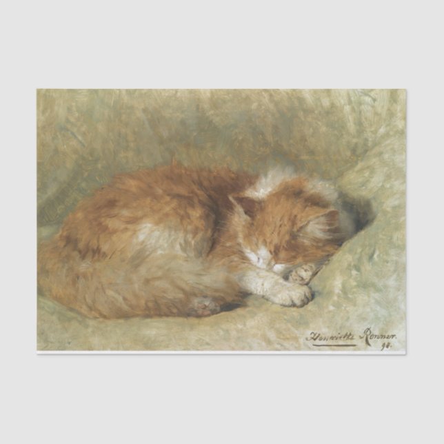 Eine Schlafkatze von Henriette Ronner-Knip Seidenpapier (Vorderseite)