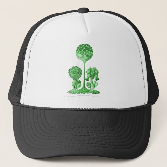 Eine Schlamm-Form Truckerkappe (Vorderseite)
