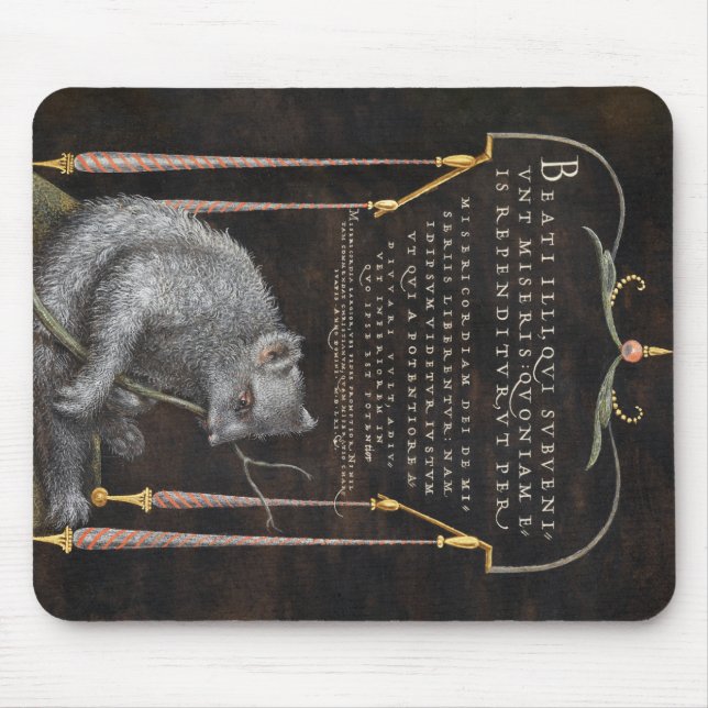 Eine Schlucht von Mira Calligraphiae Monumenta Mousepad (Vorne)