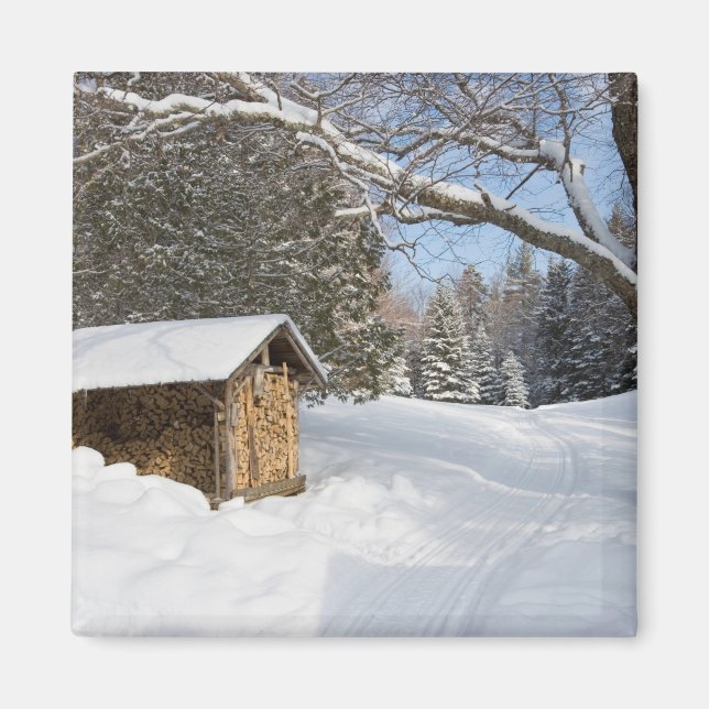 Eine schneebedeckte Szene am Kleinen Lyford Pond d Magnet (Vorne)