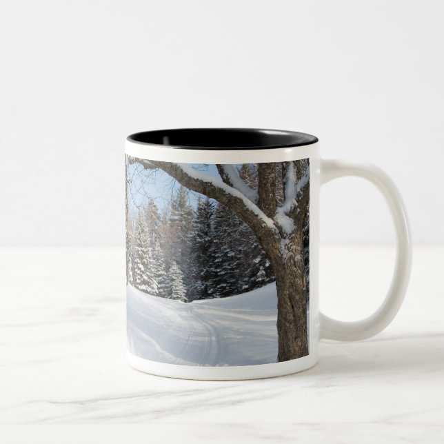 Eine schneebedeckte Szene in dem AMCs wenigen Zweifarbige Tasse (Rechts)