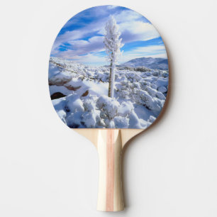 Eine schneebedeckte Yucca Tischtennis Schläger