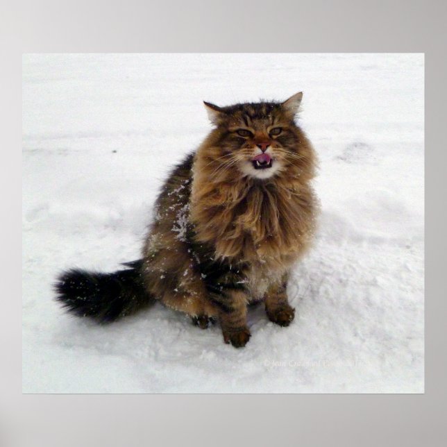 Eine Schneeflocke fangen Poster (Vorne)