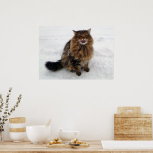Eine Schneeflocke fangen Poster