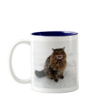 Eine Schneeflocke fangen