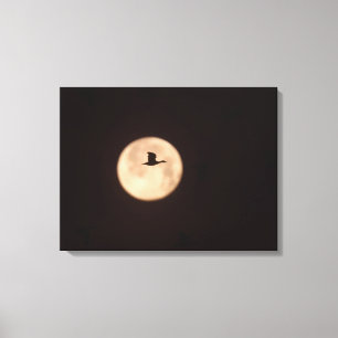 Eine Schneegans gegen einen Vollmond   New Mexico Leinwanddruck