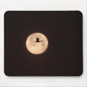 Eine Schneegans vor Vollmond   New Mexico Mousepad