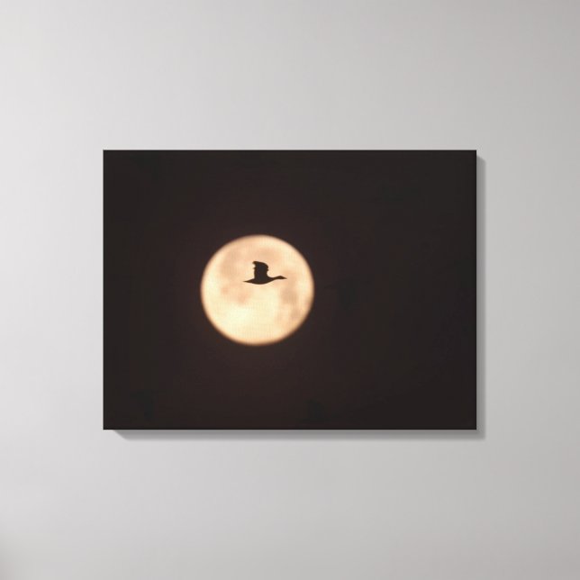 Eine Schneegose gegen Vollmond | Neu Mexiko Leinwanddruck (Vorderseite)