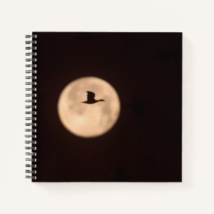 Eine Schneegose gegen Vollmond Neu Mexiko Notizbuch