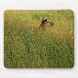 Eine schnelle Spitze Mousepad