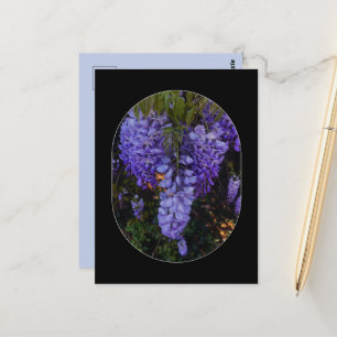 eine schöne Berührung der Natur  Postkarte