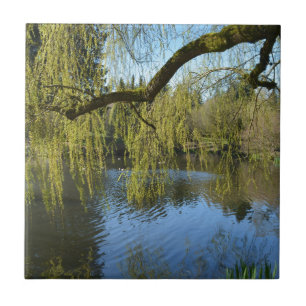 eine schöne Quelle Weiden Bäume am Wasserteich. Fliese