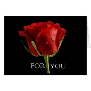 EINE SCHÖNE ROSE FÜR ***BEST FREUND** AM BURTTAG