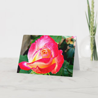 Eine schöne Rose-Grußkarte Karte