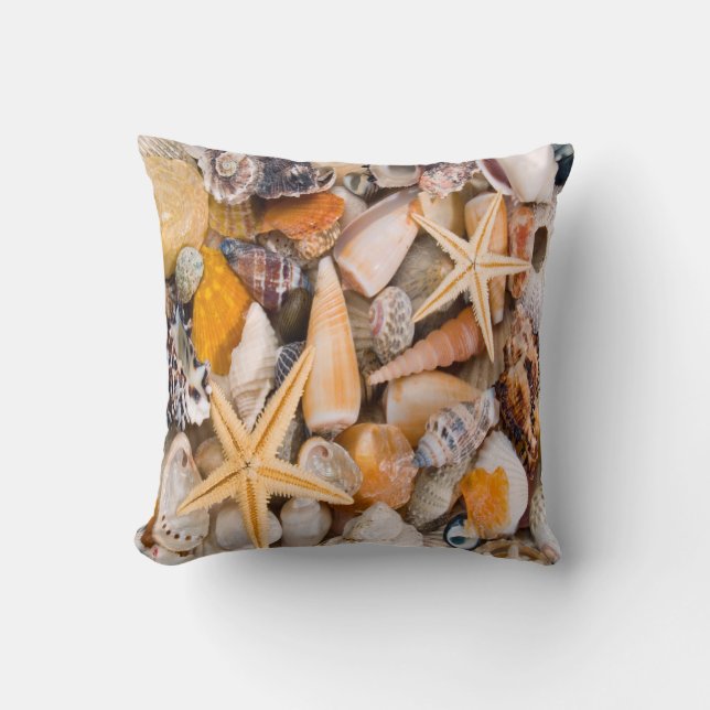 Eine schöne Sammlung Seashells auf einem Kissen (Vorderseite)