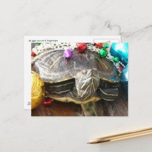 Eine schöne Weihnachtsschildkröte Postkarte