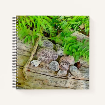 Eine schöne Zeitschrift mit der Natur und das best