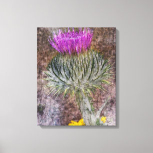 Eine schottische Distel Leinwanddruck