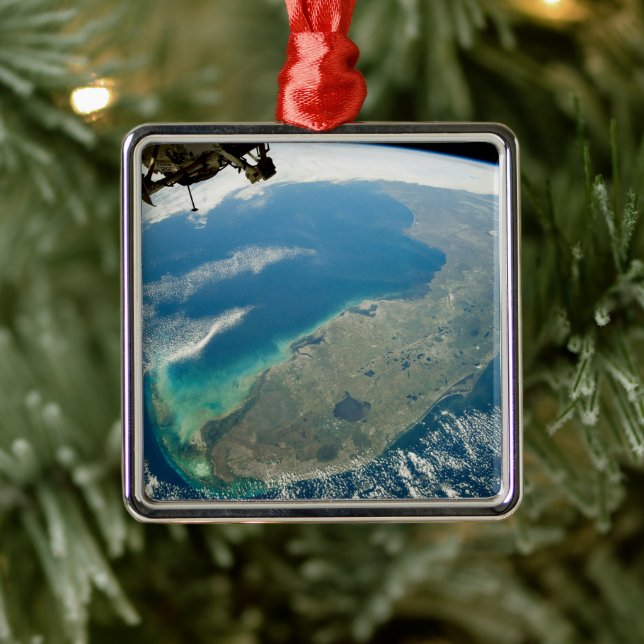 Eine schräge Florida an der Südostküste Ornament Aus Metall (Baum)