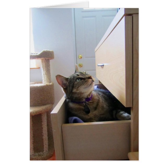 Eine Schublade für die Indigokarte (Vorne)