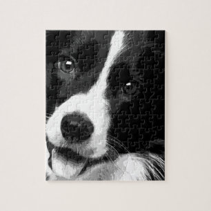 Eine Schwarzweiss-Border-Collie Puzzle