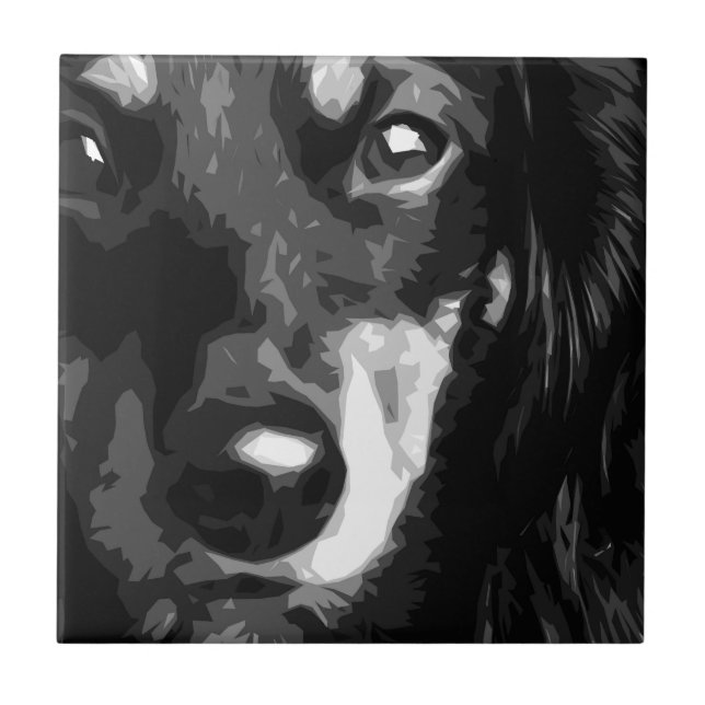 Eine Schwarzweiss-MiniaturDackel Fliese (Vorderseite)