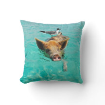 Eine Seemöve und ein Schwein