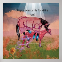 eine Seite aus dem Buch, Fliegenstiefel