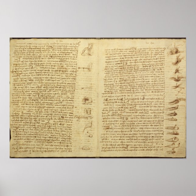 Eine Seite aus dem Codex Leicester, 1508-12 Poster (Vorne)