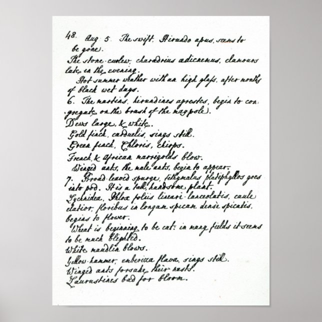 Eine Seite aus dem Tagebuch von Rev. James Woodfor Poster (Vorne)