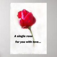Eine Single-Rose für Sie mit Liebe...