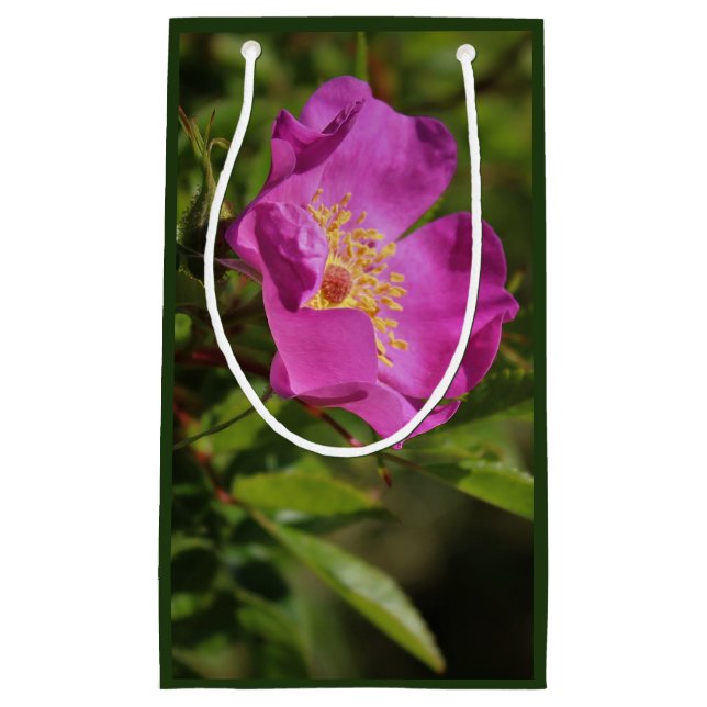 Eine Single-wilde Rose Kleine Geschenktüte (Vorderseite)