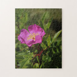 Eine Single-wilde Rose Puzzle