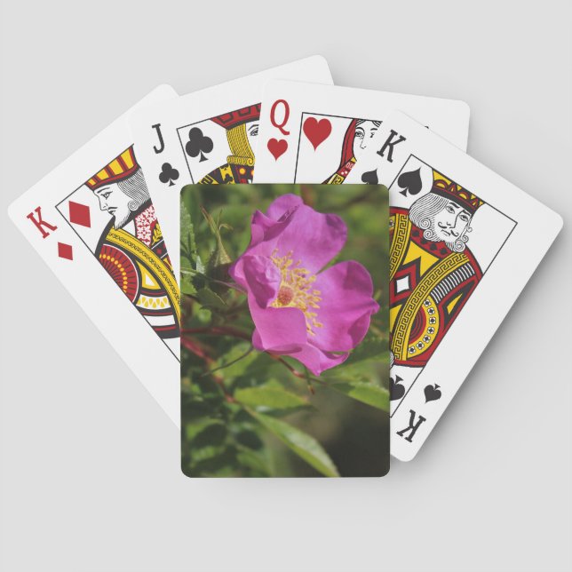 Eine Single-wilde Rose Spielkarten (Rückseite)