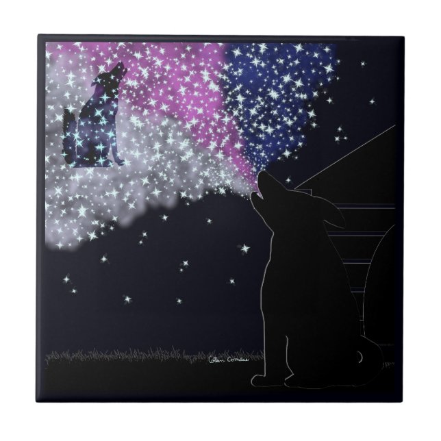 Eine Sommernacht mit Sirius Fliese (Vorderseite)