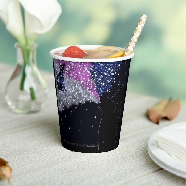 Eine Sommernacht mit Sirius Pappbecher (In Situ)