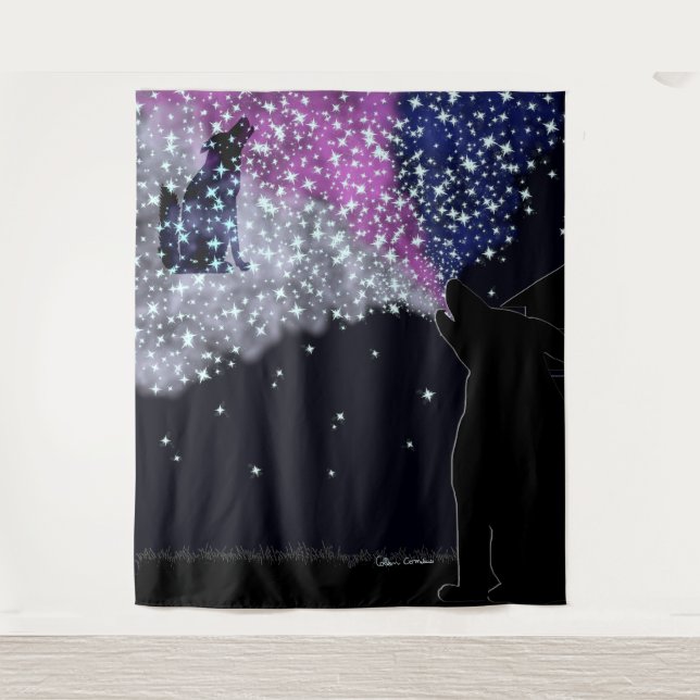 Eine Sommernacht mit Sirius Wandteppich (Vorderseite)