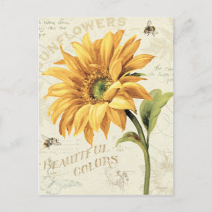 Eine Sonnenblume im vollen Blut Postkarte